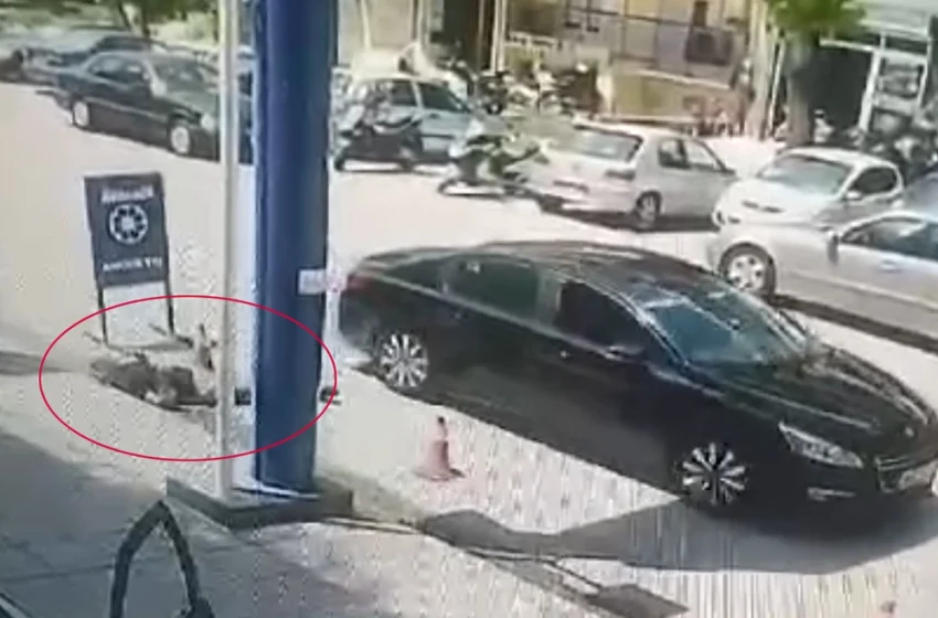  Θεσσαλονίκη: Τι λέει ο άνδρας που σκότωσε τον 50χρονο στο βενζινάδικο – “Με απείλησε…” (vid)