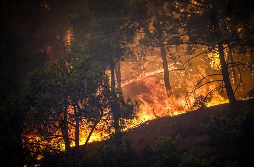  Έκτη ημέρα πύρινης κόλασης στη Ρόδο – Χιλιάδες άνθρωποι στο δρόμο – Ενισχύθηκαν οι δυνάμεις της πυροσβεστικής