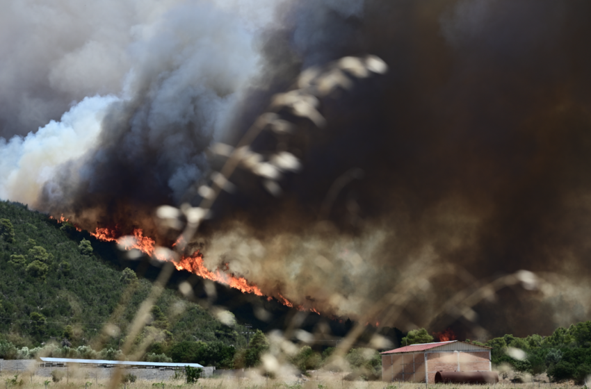  Φωτιές: Aναζωπυρώσεις σε Αγία Σωτήρα, Στεφάνη και Οινόη – Οι φλόγες δίπλα σε σπίτια στα Μέγαρα