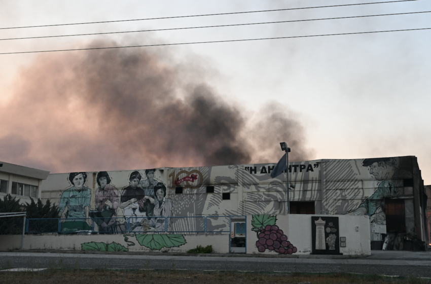  Μαγνησία: Εισαγγελική παρέμβαση για κατεπείγουσα προανακριτική εξέταση για τη φωτιά