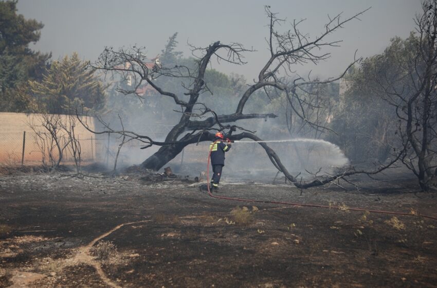  Κάηκαν πάνω από 30.000 στρέμματα λέει ο δήμαρχος Λαυρεωτικής