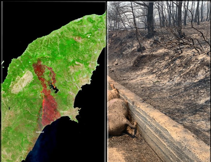  Περιβαλλοντικός όλεθρος στη Ρόδο – Εικόνες μη αναστρέψιμες με περίπου 150.000 στρέμματα δάσους να γίνονται στάχτη