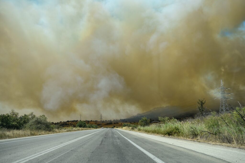 00 0005 20230820 sooc1692535012