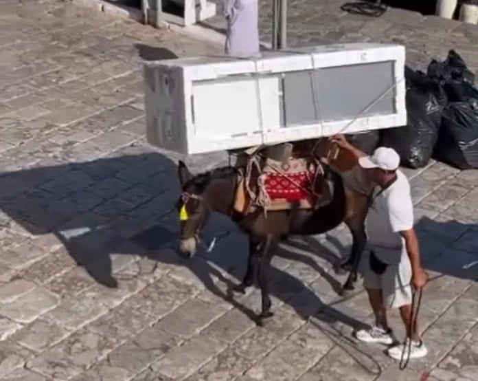  Δήμαρχος Ύδρας για το γαϊδουράκι που κουβαλάει ψυγείο: “Δεν είναι κακοποίηση, είναι η καθημερινότητα”