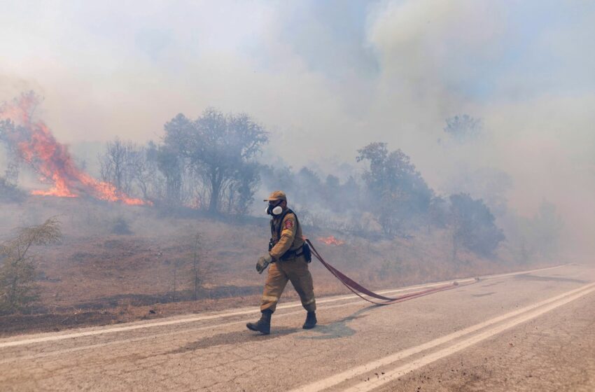  Τι πρέπει να αλλάξει στη δασοπυρόσβεση – Λάθος πολιτικές και υψηλό κόστος