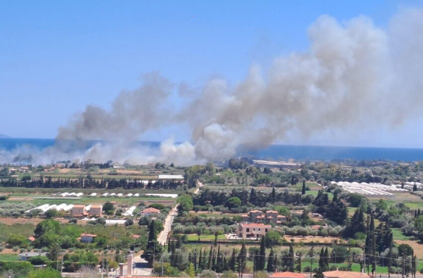  Φωτιά στον Μαραθώνα – Προληπτική εκκένωση από Ριζάρη προς Παραλία