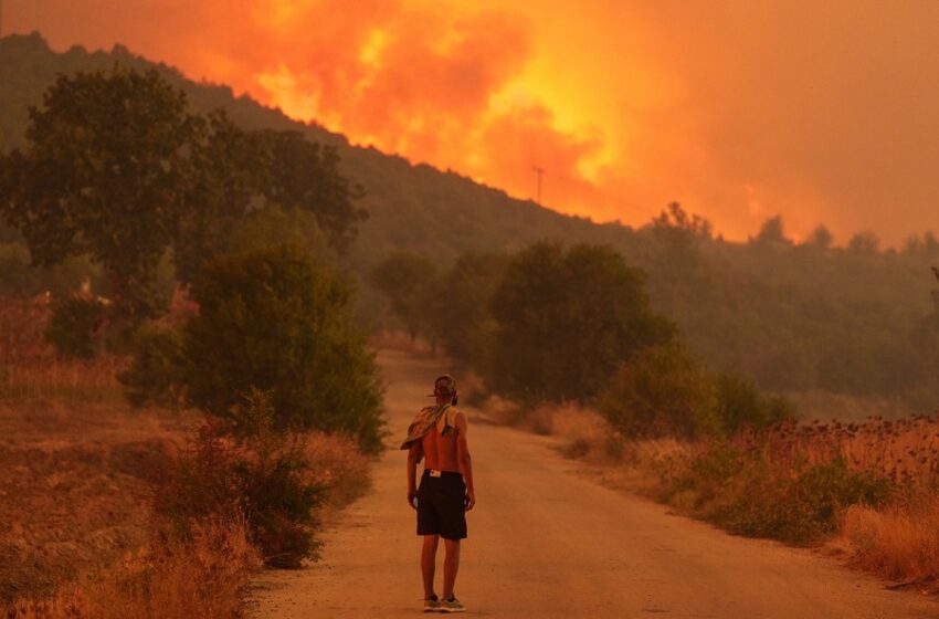  Φωτιά στην Αλεξανδρούπολη: Κάηκαν πάνω από 4.000 αιγοπρόβατα – Καταστράφηκαν κτηνοτρόφοι