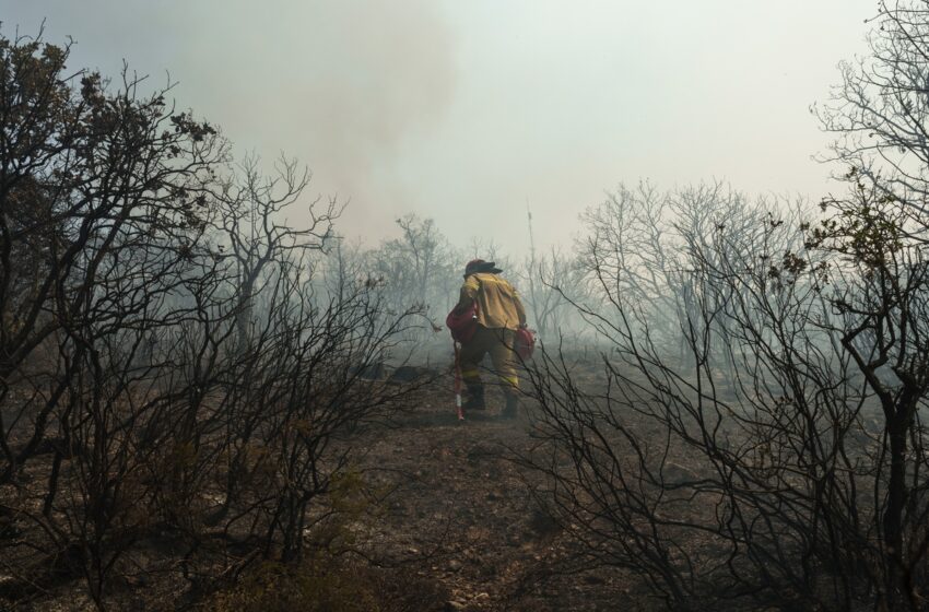  Αποτύχαμε: Κραυγή αγωνίας από τους επιστήμονες για τη διαχείριση των δασικών πυρκαγιών – Συντριπτικά στοιχεία συγκριτικά με την Ευρώπη