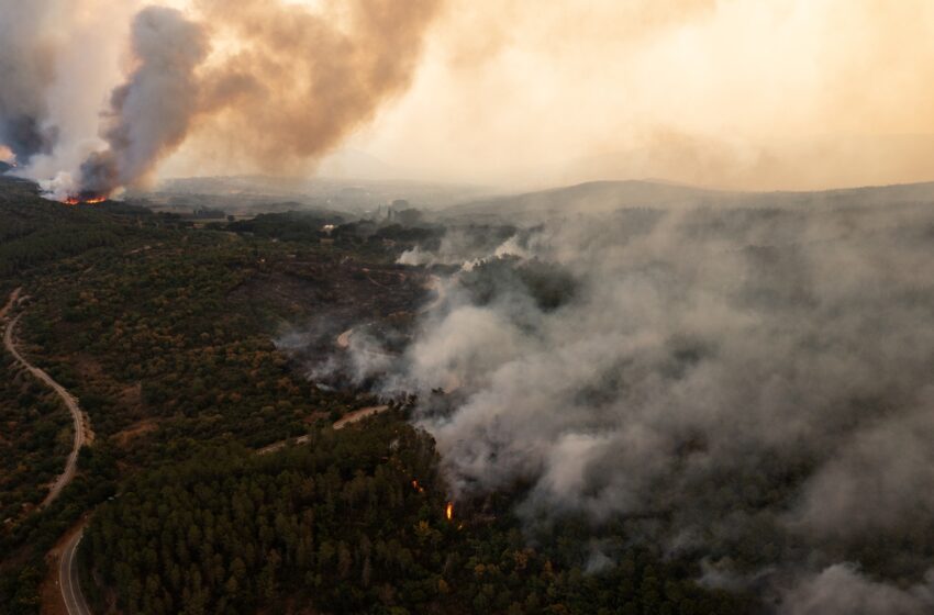  Meteo: Επικαιροποίηση των στοιχείων για τις καταστροφές – 20% λιγότερες πυρκαγιές, 270% αύξηση των καμένων εκτάσεων