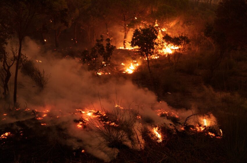  Μεγάλη αναζωπύρωση στον Έβρο – Εκκενώνονται οικισμοί με μήνυμα στο 112 – Φωτιά και στην Εύβοια