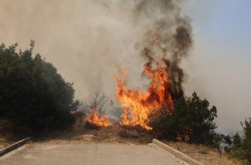  Φυλή: Ξεχειλίζει η απόγνωση των κατοίκων- Καμένα σπίτια και αυτοκίνητα