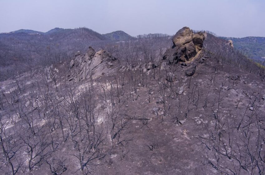  Άρθρο της Monde για τον Έβρο: Περίπολα ακροδεξιών στο κυνήγι των μεταναστών