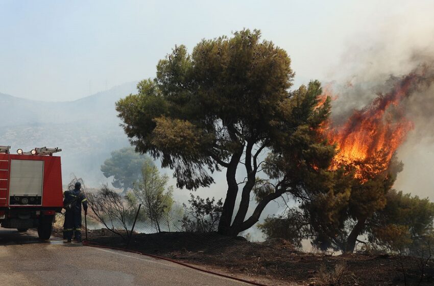  Αυτές οι περιοχές εμφανίζουν υψηλό κίνδυνο εκδήλωσης πυρκαγιάς την Παρασκευή