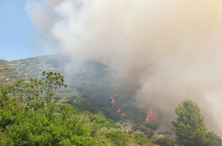 Μεσσηνία: Φωτιά σε εξέλιξη στις περιοχές Πλάτσα και Καλό Νερό