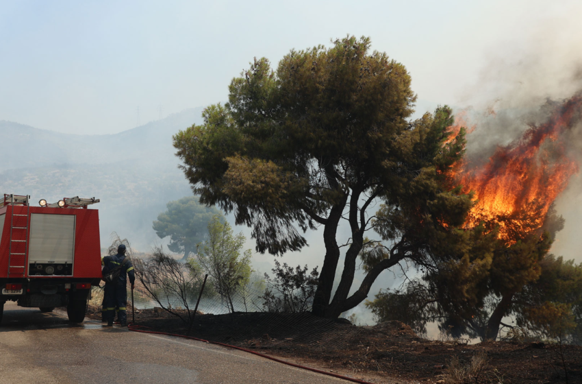  Καιρός: Εμφανίζεται ξανά το φαινόμενο “Hot, Dry, Windy” – Αυτές οι περιοχές κινδυνεύουν από φωτιές
