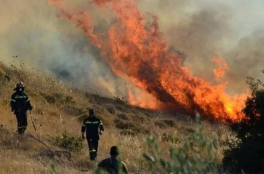  Αλεξανδρούπολη: Εκτός ελέγχου η φωτιά – Σε κατάσταση εκτάκτου ανάγκης ο Δήμος