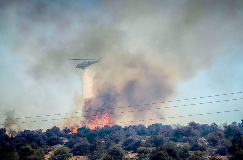  Πύρινη κόλαση σε όλη τη χώρα: Μεγάλες φωτιές σε Εύβοια, Βοιωτία και Αλεξανδρούπολη – Ισχυροί άνεμοι έως 9 μποφόρ – Ένας νεκρός