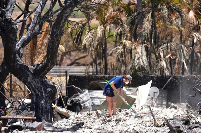  Έλληνας που ζει στη Χαβάη περιγράφει την κόλαση της φωτιάς: ”Μεγάλες καταστροφές – Δύσκολο να ξέρεις πόσοι είναι οι αγνοούμενοι”