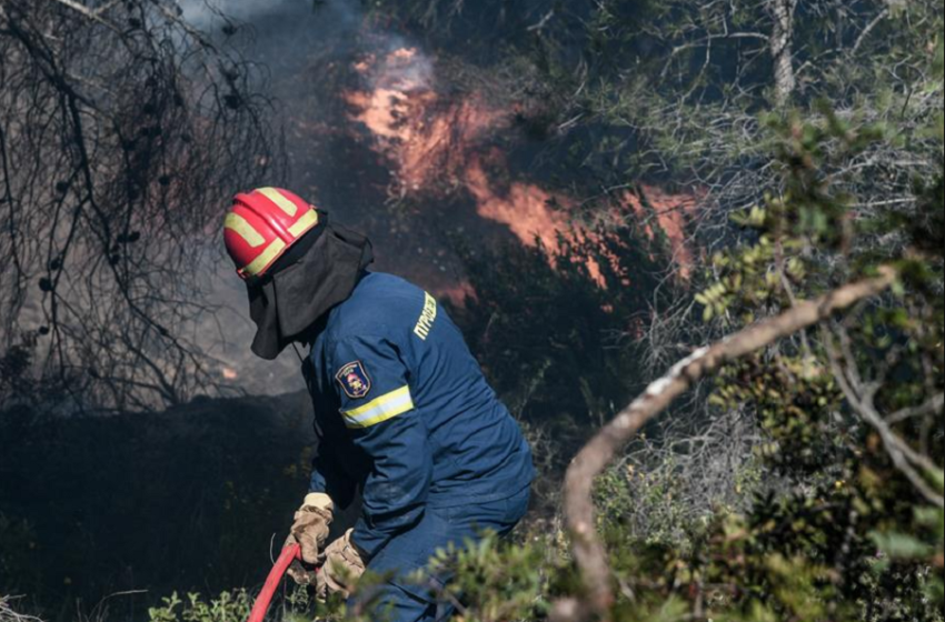  Πάρνηθα: Μάχη σώμα με σώμα με τις φλόγες δίνουν πυροσβέστες και εθελοντές