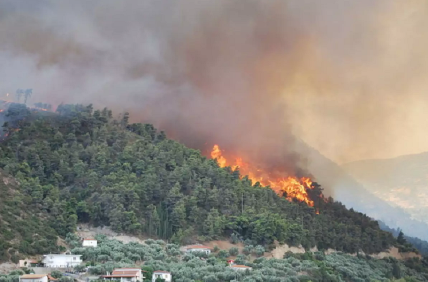  Φωτιά τώρα στη Νεάπολη Λακωνίας