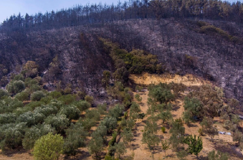  Έβρος: Αδιάκοπη η μάχη με τις φλόγες, με ενίσχυση δυνάμεων και γραμμές άμυνας