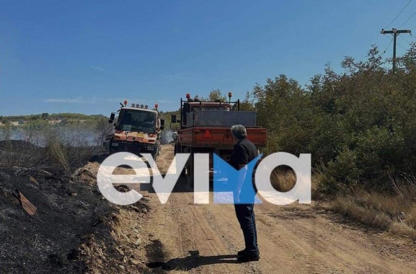  Φωτιά στην Εύβοια: Υπό μερικό έλεγχο η πυρκαγιά στον Πισσώνα