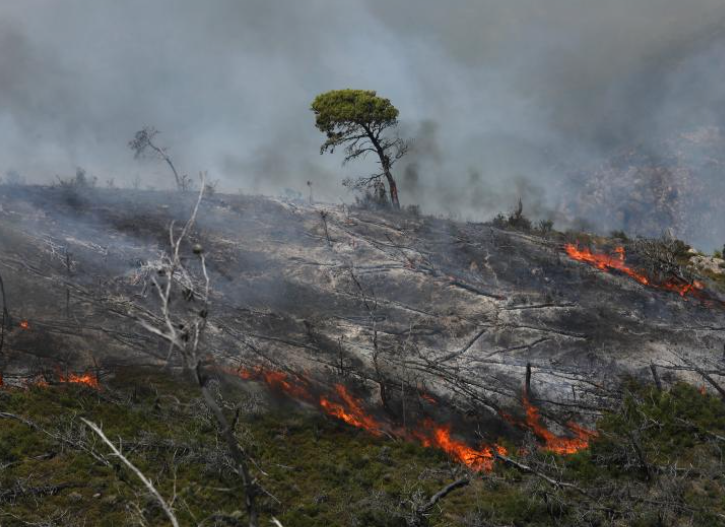  Δαδιά: Ιατροδικαστής για τους 18 νεκρούς μετανάστες – “Ταχύτατος θάνατος, χτυπήθηκαν από θερμικό κύμα”