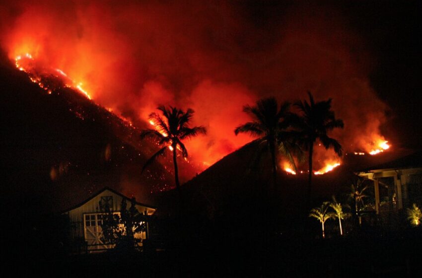  Χαβάη: Νέα δασική πυρκαγιά απειλεί κατοικημένη περιοχή – Απομακρύνονται οι κάτοικοι