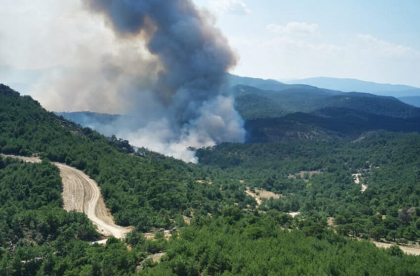  Καίγεται το δάσος της Δαδιάς στον Έβρο