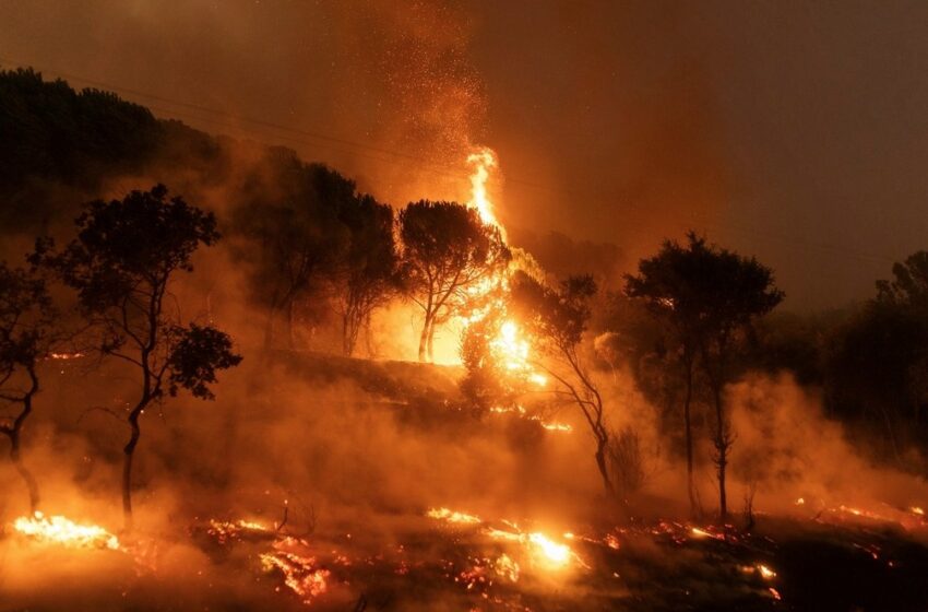  Μάχη με τις φλόγες σε Έβρο και Άνδρο – Βελτιωμένη εικόνα σε Βοιωτία και Φθιώτιδα