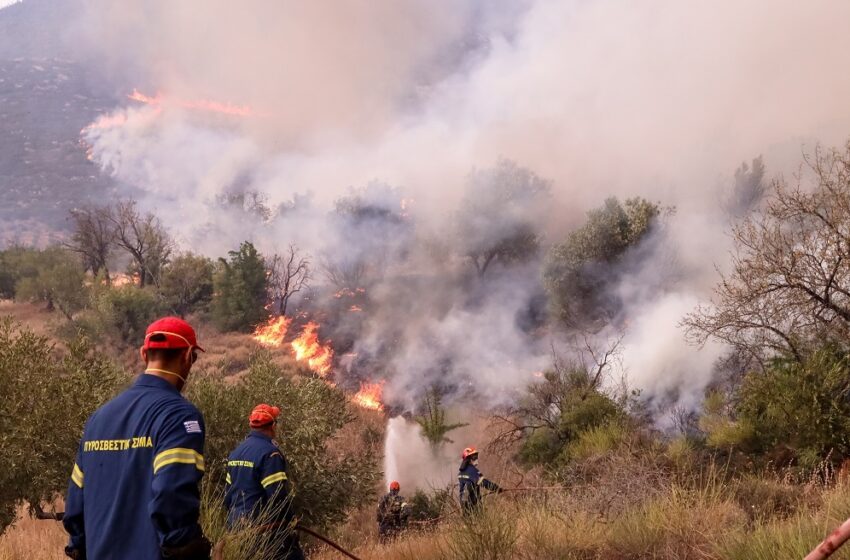  Φωτιά στον Έβρο: Μήνυμα 112 για εκκένωση της περιοχής Κοτρωνιά