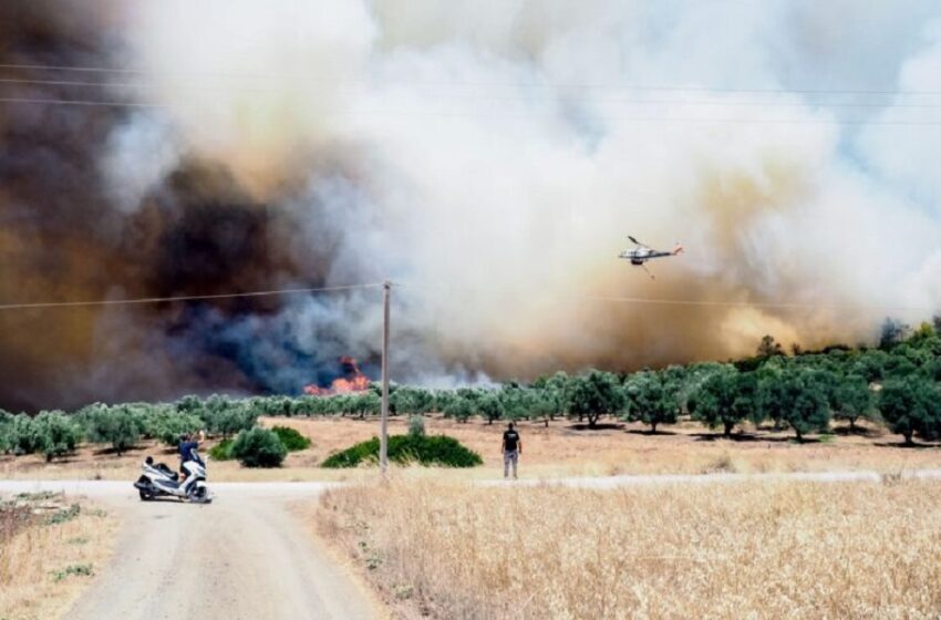  Εύβοια: Στάχτη 6.500 στρέμματα από τη φωτιά