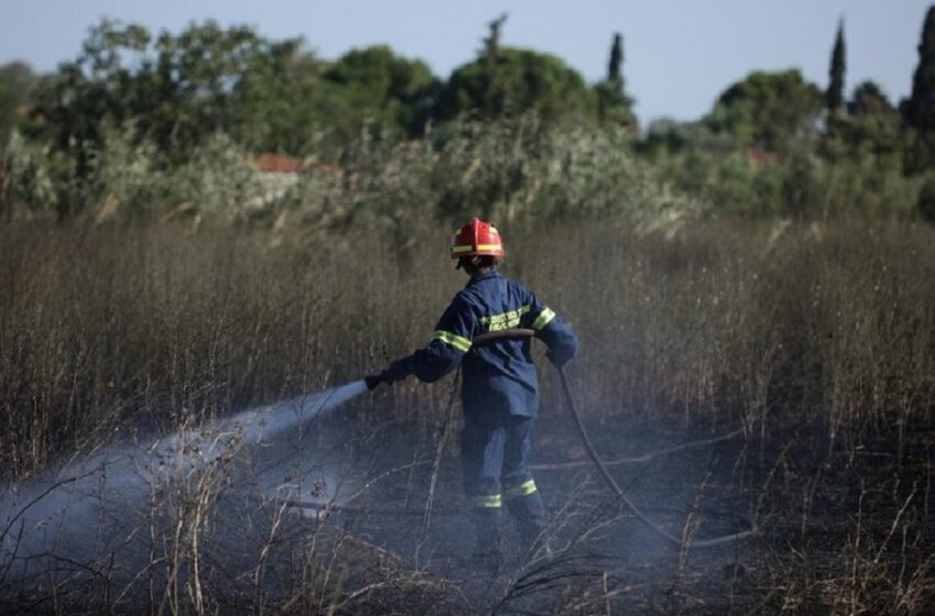  Φωτιά στην Κεφαλονιά: Στο σημείο ισχυρές δυνάμεις της Πυροσβεστικής