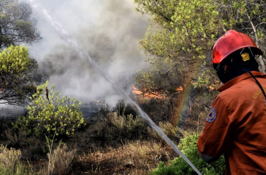  Φωτιά στη Στυλίδα: Στην επιχείρηση κατάσβεσης και εναέριες δυνάμεις