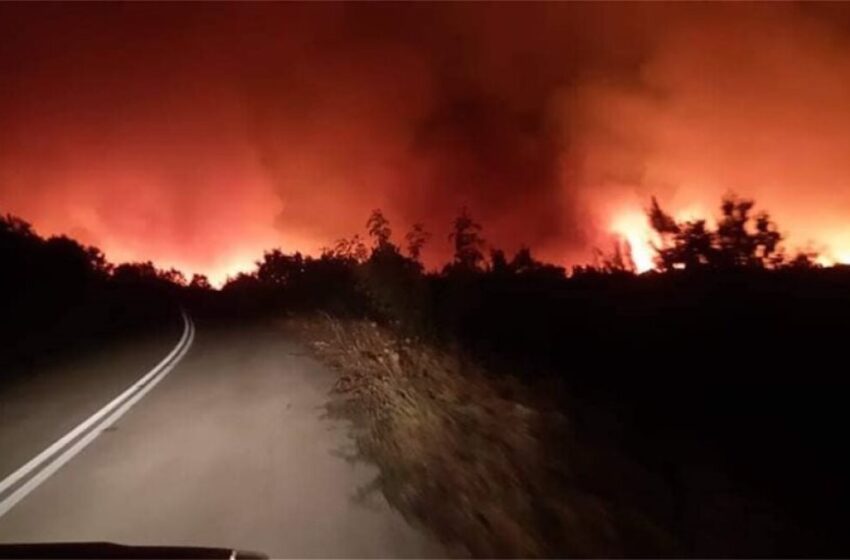  Κομισιόν: Η φωτιά στην Αλεξανδρούπολη είναι η μεγαλύτερη που έχει καταγράψει η ΕΕ