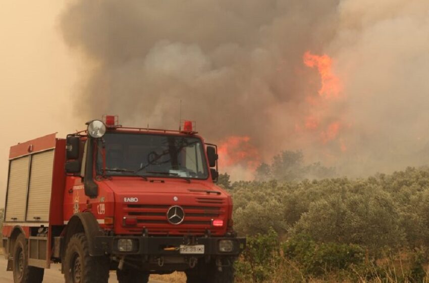  Τρία τα ενεργά μέτωπα στον Έβρο – Μαίνεται η πυρκαγιά στην Αλεξανδρούπολη – Νέες εκκενώσεις οικισμών στη Ροδόπη