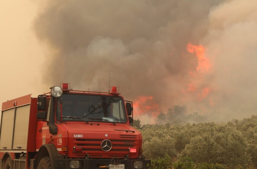  Meteo:Οι περιοχές με υψηλό κίνδυνο πυρκαγιάς την Παρασκευή  -Άνεμοι έως 8 μποφόρ