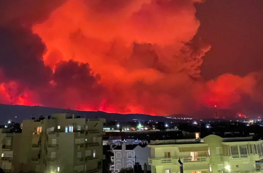  Δήμαρχος Αλεξανδρούπολης: “Μεγάλη η καμένη έκταση” – Εκκενώνεται και η Λεπτοκαρυά