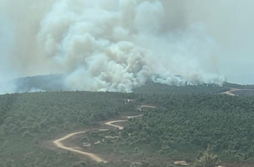  Φωτιά στη Σταμάτα: Μεγάλη κινητοποίηση, μήνυμα από το 112