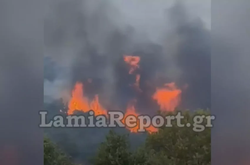  Πολύ δύσκολη η κατάσταση και στη Φθιώτιδα – Η φωτιά απειλεί οικισμούς – Μήνυμα 112 και τρομακτικά βίντεο