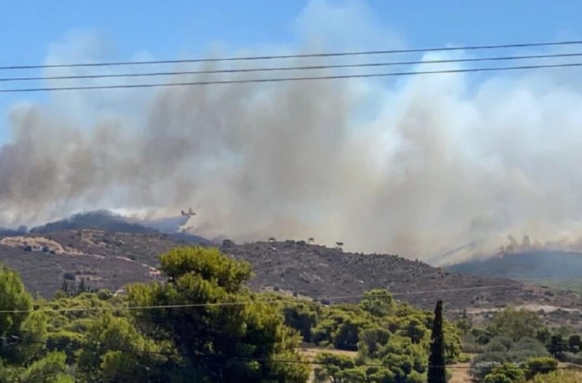  Φωτιά στη Νέα Μάκρη- Επιχειρούν και εναέριες δυνάμεις