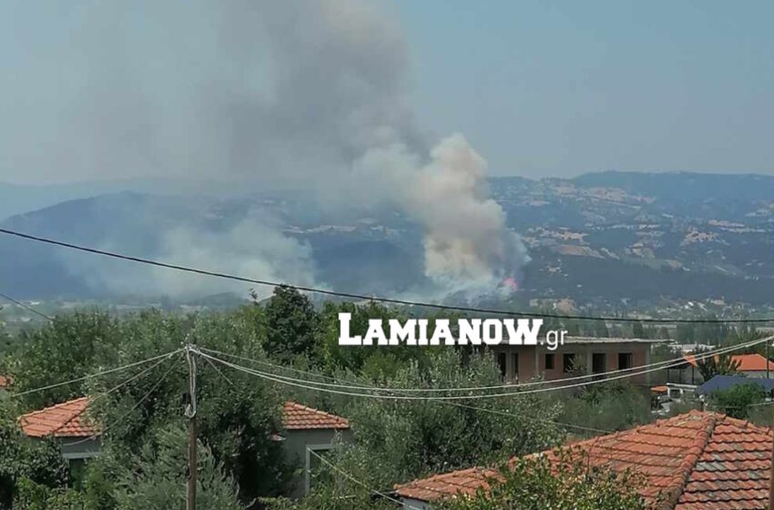  Φωτιά στη Μακρακώμη: ‘Έκκληση για εναέρια μέσα κάνει ο πρόεδρος της τοπικής κοινότητας της Βίτωλης