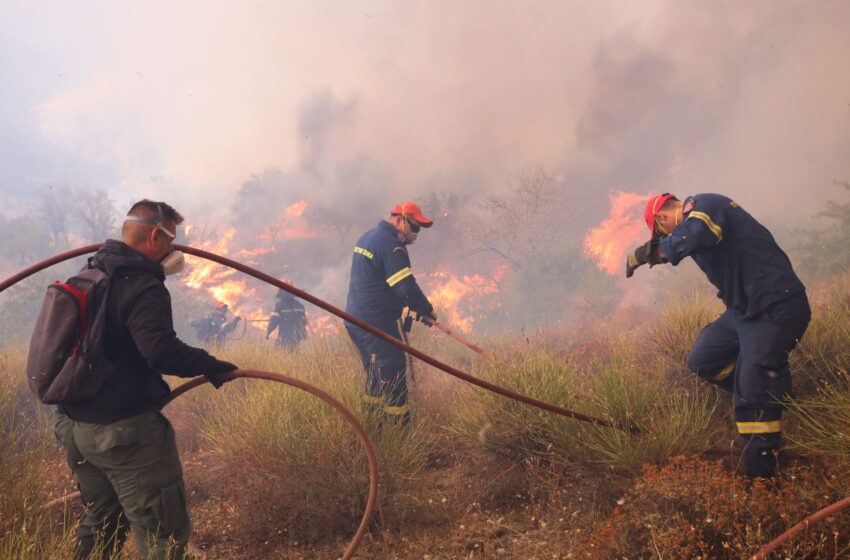  Βοιωτία: Συνεχίζει να καίει ανεξέλεγκτη η φωτιά – Νέο μήνυμα 112 για εκκένωση μιας περιοχής