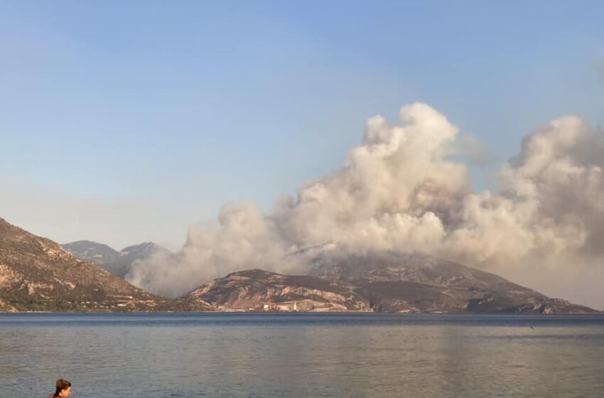  Φωτιά στη Βοιωτία: Συνεχή μηνύματα από το 112 για εκκενώσεις οικισμών (vid)