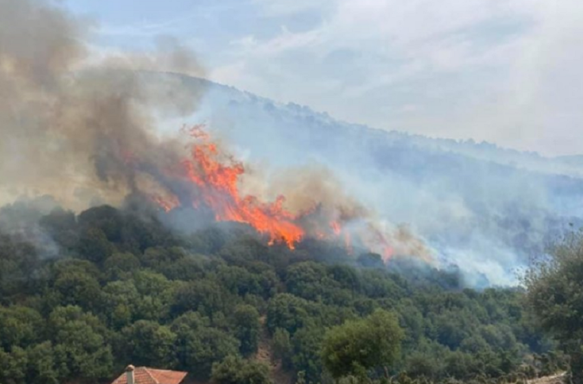  Συναγερμός στην Πυροσβεστική: Φωτιά στα Γρεβενά