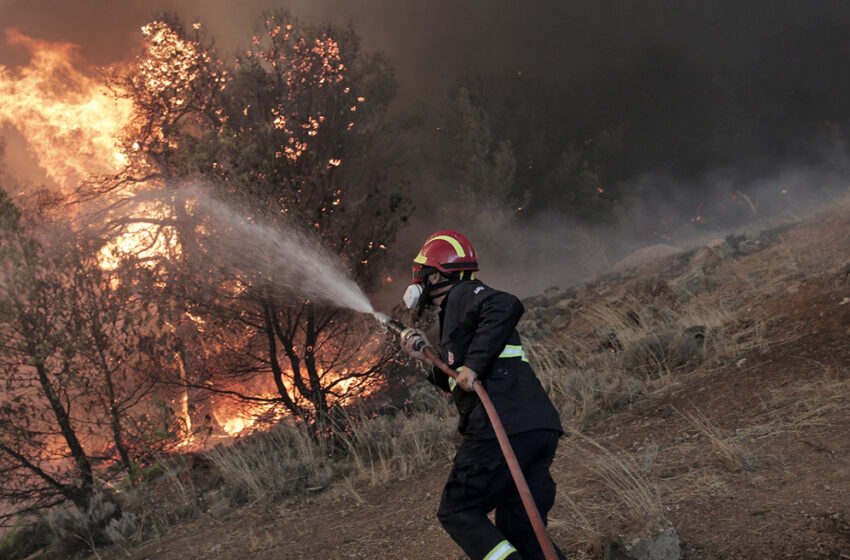  Έβρος: Πολύ υψηλός από αύριο ο κίνδυνος πυρκαγιάς- Συναγερμός για Αλεξανδρούπολη και Σουφλί