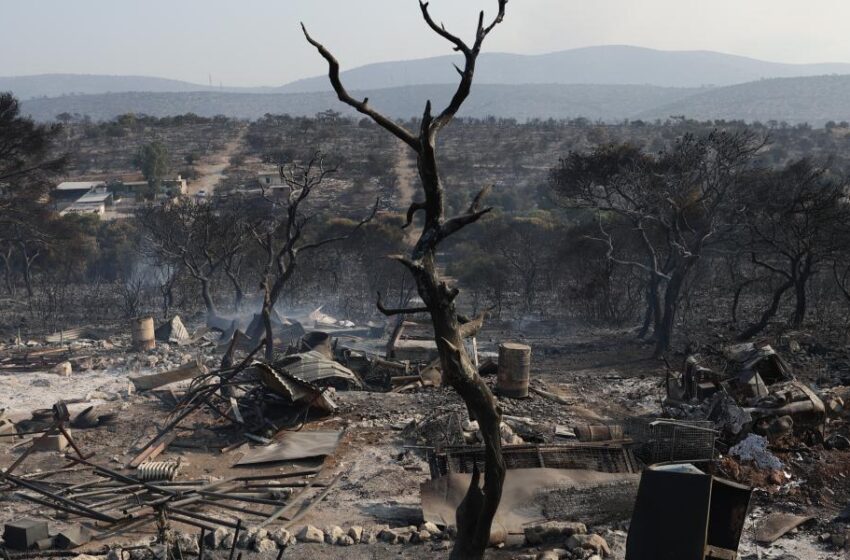  Φωτιές/Βιβλική καταστροφή: Πάνω από 1,2 εκατ. καμένα στρέμματα – Ο δραματικός απολογισμός ανά περιοχή – Η Ελλάδα μετράει τις πληγές της