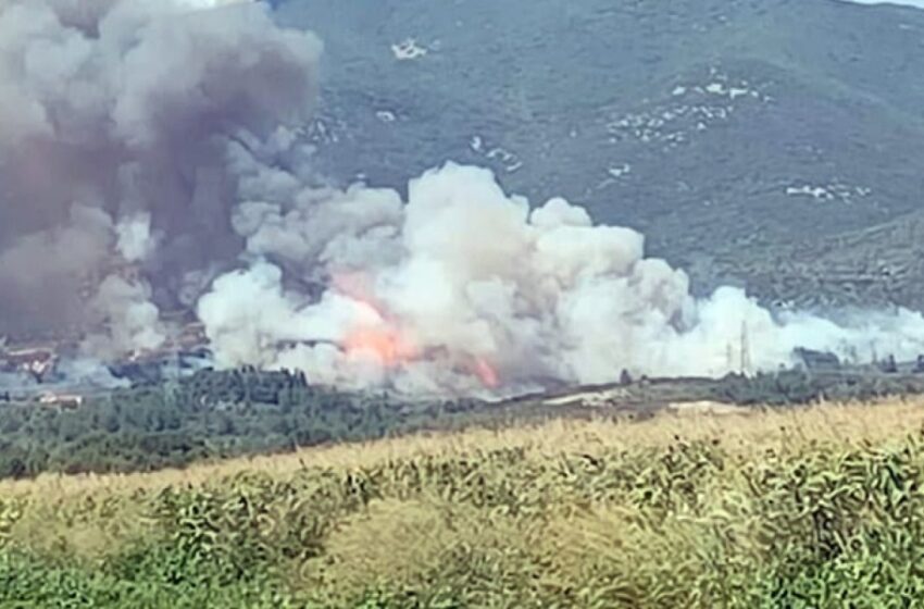  Νέα πυρκαγιά στο Διαλεκτό Καβάλας- Εστάλη 112 για εκκένωση