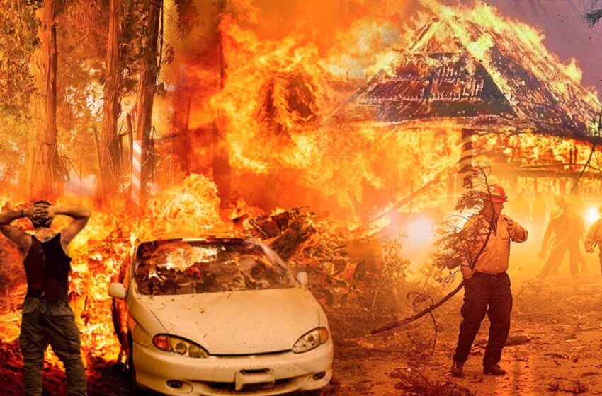  Φωτιές στη Χαβάη: Τουλάχιστον 80 οι νεκροί – ”Παντού βρίσκουμε απανθρακωμένα πτώματα” λένε οι πυροσβέστες (vid)