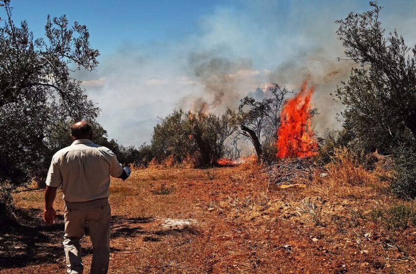  Συναγερμός για νέες φωτιές την Πέμπτη 24/8